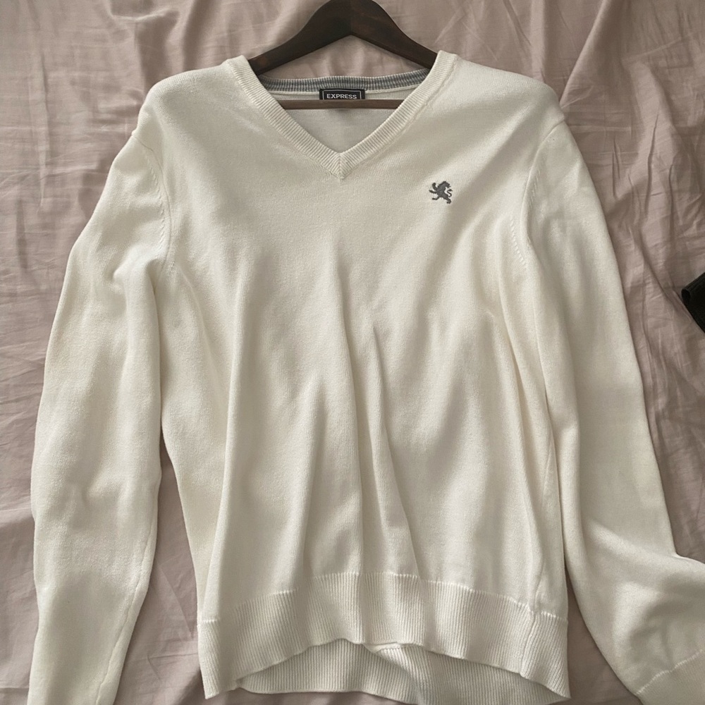 Express v neck sweater